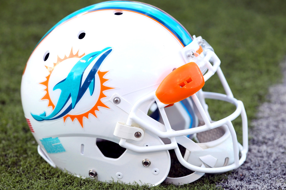 Dolphins Helmet