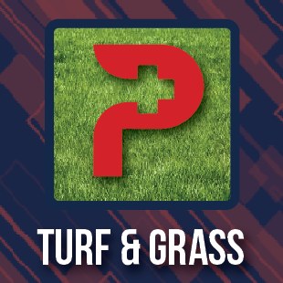 Turf vs Grass